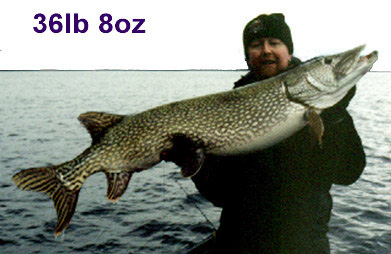 Nige Grassby 36lb 8oz