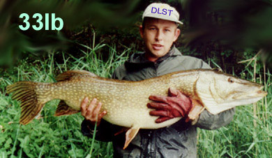 Steve hincks 33lb