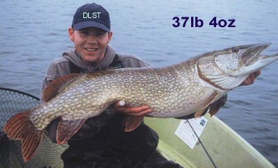 Wayne Bailey 37lb 4oz