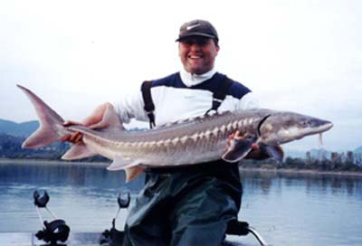 Big Sturgeon!!